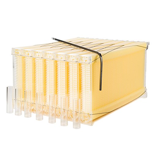 CO-Z 7pcs Auto Flow Bee Comb Beehive Honey Plastic Frames with 7 Harvest Tubes and a Harvest Key, Beekeeping Beehive Tools for Beekeepers, Beekeeping Equipment Kit