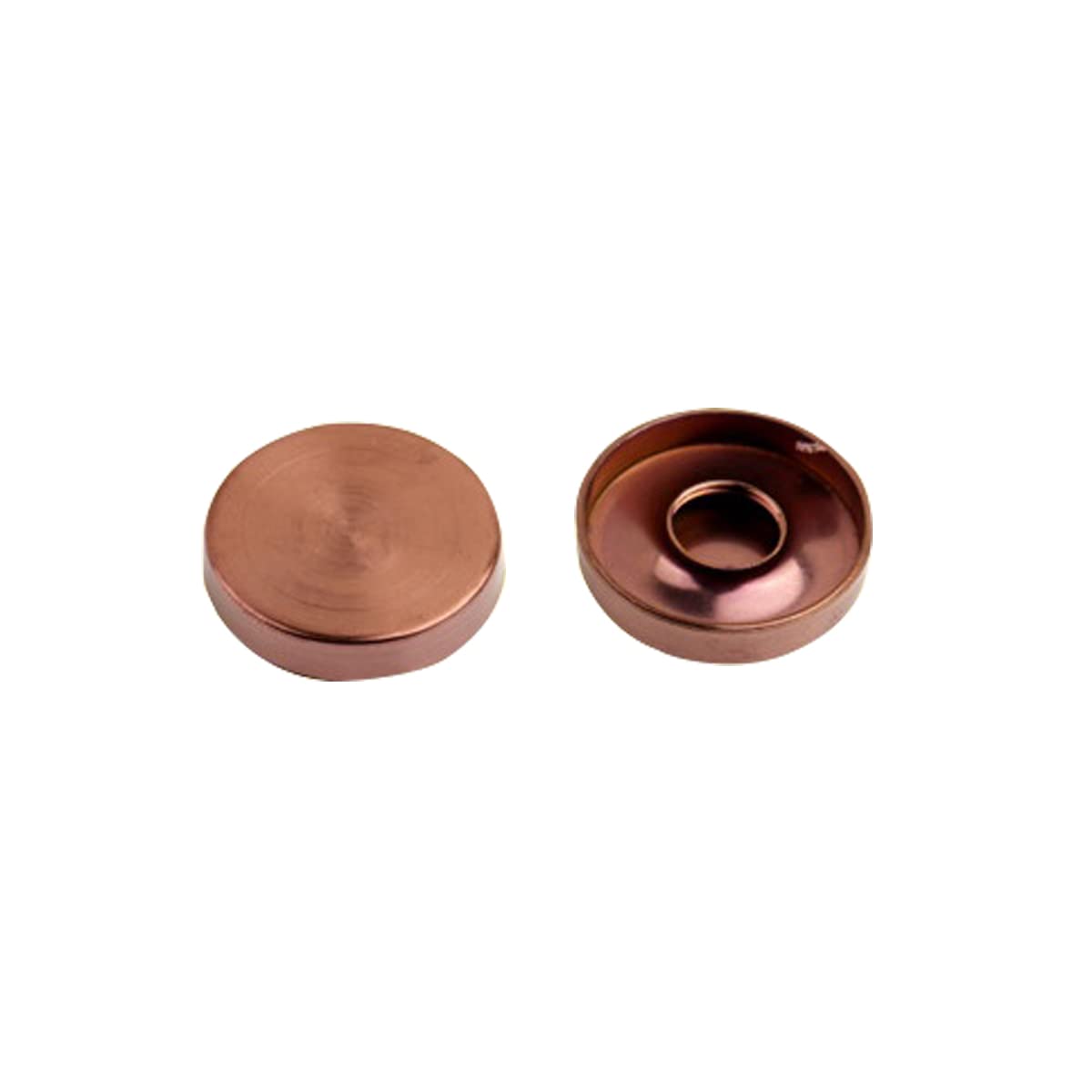 Mirror Screws 22mm 304 Stainless Steel Cap Cover Nails For Decorative Mirror, Sign/Advertising Hardware, Nails, Construction(Rose Gold)