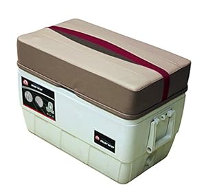 Amazon.com : Wise Premier Series 48-Quart Igloo Cooler ...