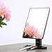 SHOWPIN Lighted Vanity Mirror with Lights,Tabletop Cosmetic Mirror with Removeable 10x Magnification Mirror,Batteries Included