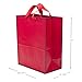Hallmark Large Red Gift Bag (Holiday, Birthday, Baby Shower, Valentine's Day, All Occasion)
