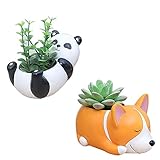 2 PCS Set Cute Cartoon Animal Shaped Succulent Cactus Flower Pot/Plant Pots/Planter/Container for Home Garden Office Desktop Decoration