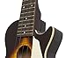 Epiphone Les Paul Concert Ukulele, Vintage Sunburst with Gig Bag