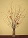 GreenFloralCrafts Natural Birch Branches (30 Pack), 3-4', Natural Brown