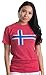 Ann Arbor T-shirt Co. Unisex Adult Norwegian Flag | Vintage Style, Retro-Feel Norway Flag & Lion, XL