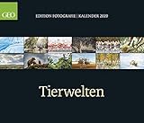 GEO-Edition Fotografie: Tierwelten 2020: Posterkalender by 