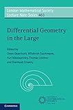 Differential Geometry in the Large