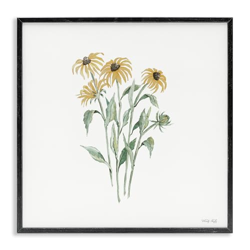 Stupell Industries Black-Eyed Susan Botanical Black Framed Giclee Art, design b…