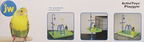 JW Pet Company Activitoys Play Gym Bird Toy
