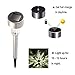 Solar Lights Outdoor, Solar Outdoor Lighting Solar Pathway Lights Outdoor Garden Lights Waterproof Stainless Steel Landscape Lighting For Garden - 12PCS (Gardening lights)