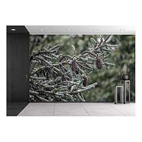 Rainy Day in The Forest - Removable Wall Mural | Self-Adhesive Large Wallpaper - 66x96 inches