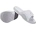 Nike Jordan Mens Jordan Hydro XIII Retro White/Metallic Silver Sandal 9 Men US
