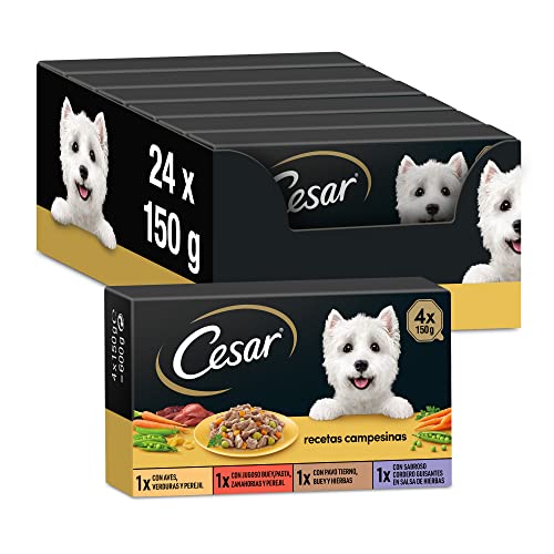 César Multipack Tarifs Alimentaires humides pour Chiens à Salsa, sélection des Recettes paysannes (Pack 6 x 4 tarifs x 150g)