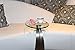 ARAD Crystal Clear Restaurant Style Acrylic Sweetener, Sugar, Sweet ‘N Low Holder 24 Packet Capacity
