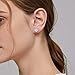 ZowBinBin Sterling Silver Round Cut Cubic Zirconia Stud Earrings, Halo Stud Earrings for Christmas Day, Valentine's Day, Anniversary, Birthday and Wedding/Engagement White