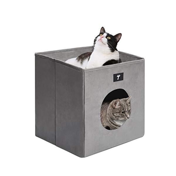 foldable cat bed