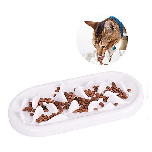 interactive feeder for cats