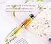 Asvine Yongsheng Clear Classical Fountain Pen Fine Nib Arrow Clip, Piston Filling System, Gold Trim, Set of 4 Pieces in transparent Color