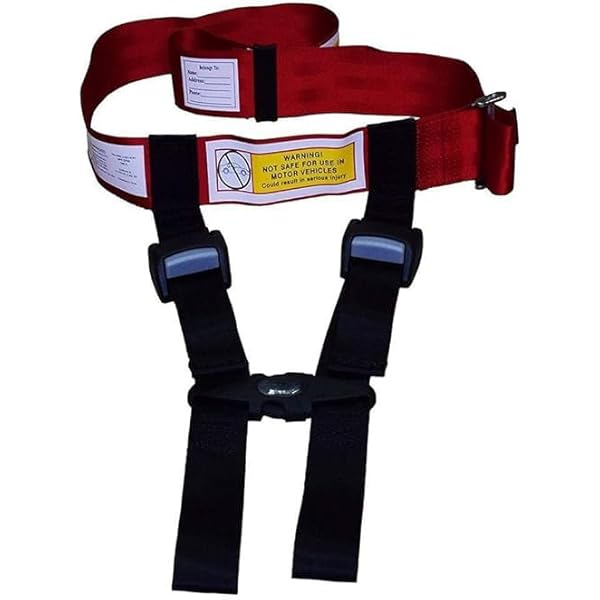 Amazon.com: Child Airplane Travel Harness - Cares Safety Restraint