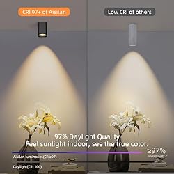 Aisilan LED Ceiling Spot Light Indoor Dimmable 2