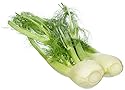 Organic Fennel, One Bulb