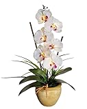 Homeseasons LED Pre Lit Lighted Single Stem Phalaenopsis Silk Orchid Arrangement-Battery Operated Lighted Artificial Orchid Plant(White)