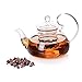 Glass Tea Pot Set - Loose Leaf Tea Pot with Infuser and Lid - Teapot with Strainer - Tea maker 24 oz