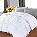 OHAPPES Queen/Full Comforter Soft Goose Down Alternative Duvet Insert for Winter, 8 Corner Loops, Warm Fluffy All Season Hotel Collection, 88 X 88 Inches, White