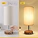 USB Table Desk Lamp Set of 2, Bedside Nightstand Lamp with 2 USB Charging Port, Solid Wood Unique Lampshde,Convenient Pull Chain for Bedroom Living Room