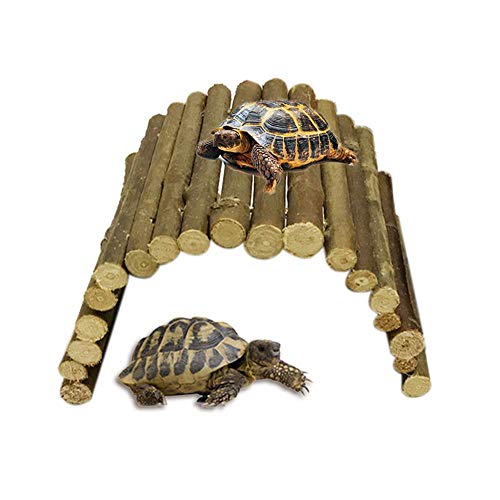 AUOKER Reptile/Snake/Lizard/Rat/Crested Gecko Hide, Hamster/Guinea Pig/Turtle/Tortoise House, 100% Nature Wooden Fence Reptile Cave Habitat Hiding Spot for Small Amphibians Reptiles Mammals - L