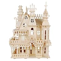 NWFashion Wooden Dream Dollhouse DIY Kits Miniature Doll House (Dream House)