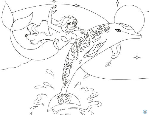 Animal Style Cahier Creatif Sirenes Et Dauphins Amazon Fr Alcouffe Christine Livres