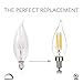 Dimmable E12 LED Candelabra Bulb Set - 4W, 40W Equivalent - 2700K Warm Light Vintage Style Candle Lightbulb for Chandelier, Ceiling Fan, Sconce, Desk Lamp or Porch Lights, Flame Tip (Pack of 6)