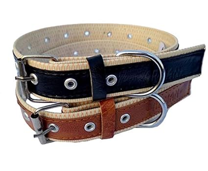 dog neck strap