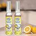 Sani 360 Garbage Disposal Cleaner - Lemon Scent, 10oz Bottle of Foam, Twin Pack - 16 to 20 Uses…