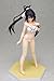 Beach Queens : Infinite Stratos Shinonono Hoki [1/10 Scale PVC]