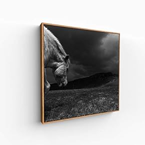 Canvas Wall Art for Living Room, Bedroom Portrait Framed Canvas Prints for Home Decoration Ready to Hang - 16x16 inches