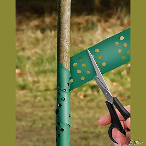 Garten Schlüter 10 Grüne Baumspiralen für Stammschutz und Rindenschutz gegen Wildverbiss und Fraßschäden, 75 cm hoch… – Bild 4