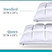 Leesa Hybrid Pillow Standard