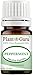 Peppermint Essential Oil 5 ml 100% Pure Undiluted Therapeutic Grade Extract of Mentha Piperita, Great for Aromatherapy Diffuser, Skin Body and Hair