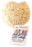 The Natural Sea Sponge, 6 to 7-Inch, Wool