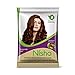 Nisha Henna Based Color Dye For Hair (0.53 Ounce (Pack of 6), Burgundy Red)