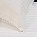 The Great American Store Soft Pillow Case Set of 2-100% Brushed Microfiber - 1800 Series Premium Bed Pillow Cases with Envelope Closure - (Queen, Stripe White)
