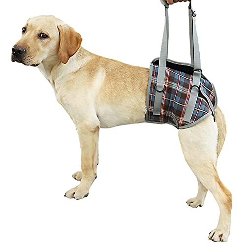 Dog Lift Harness with Handle for Back Legs, Portable Pet Support