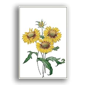 Framed Canvas Wall Art Beautiful Flowers in Grid Giclee Print Gallery Wrap Modern Home Prints Ready to Hang - 16x24 inches