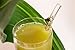 Hummingbird Glass Straws Caramel Frog on Clear Bent 9 in x 9.5 mm with Cleaning Brush