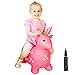 NDN LINE Bouncy Animal, Bouncy Horse Inflatable with Pump