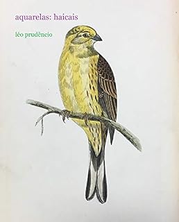Livro aquarelas: haicais