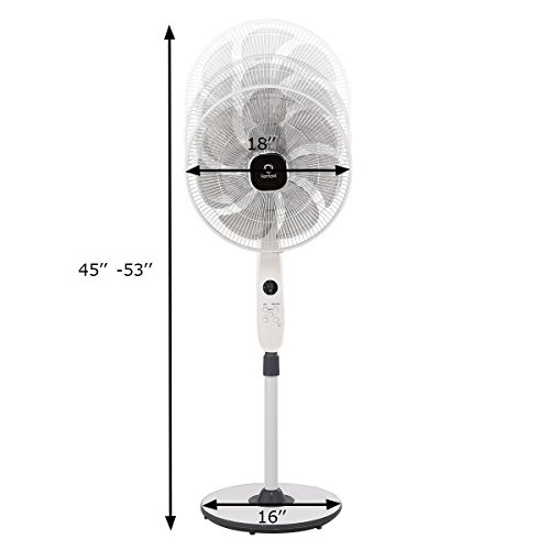 Toolsempire Pedestal Fan Quiet High Velocity Oscillating Stand Fans