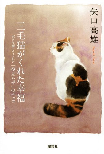 三毛猫がくれた幸福 ボクを癒してくれた 役立たず のナッコ 矢口 高雄 本 通販 Amazon